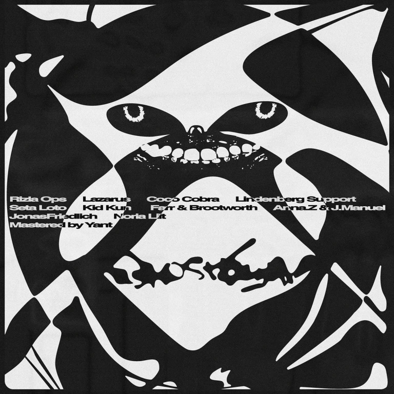 Disorientation GTVA01